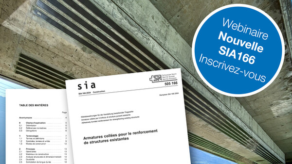 Webinaire nouvelle SIA166